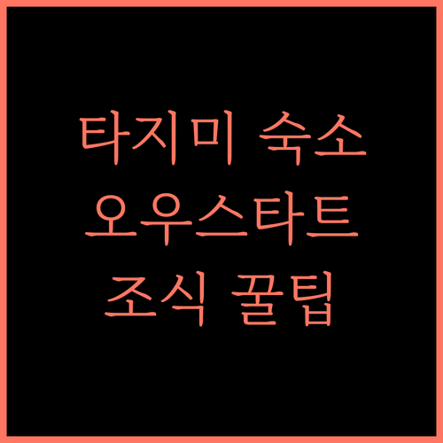 오우스타트 인터내셔널 호텔 타지미, 친절한 서비스와 조식! 다지미 추천 숙소