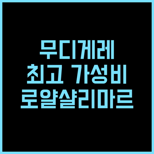 HOTEL THE ROYAL SHALIMAR 추천 후기 무디게레 최고의 가성비 호텔! 로얄샬리마르 무디게레 가성비
