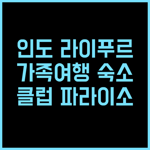 클럽 파라이소 추천 후기 라이푸르 여행객 필수 숙소! 라이푸르호텔 인도여행 가족여행