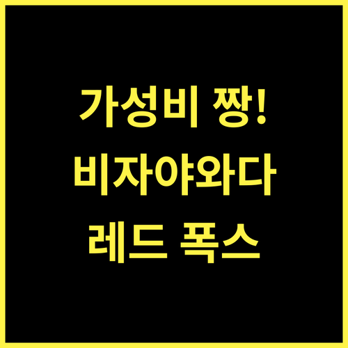 레드 폭스 바이 레몬 트리 호텔스, 비자야와다! 가성비 최고 숙소 비자야와다호텔 가성비 여행