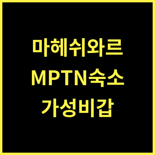 MPT Narmada Resort 마헤쉬와르 최고의 선택 편안함과 휴식을 동시에 마헤쉬와르호텔 인도여행 가성비숙소
