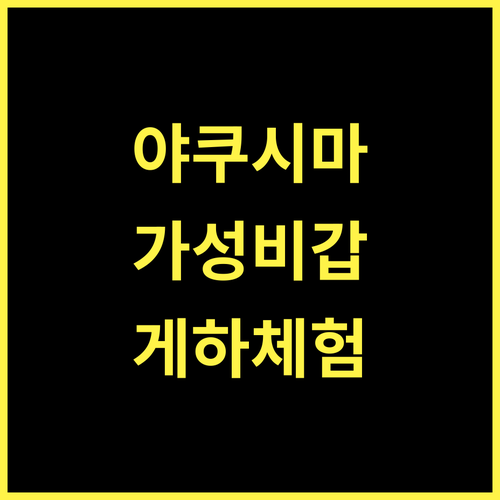 야쿠시마 파크 게스트하우스 가성비 최고 숙소에서 만나는 특별함