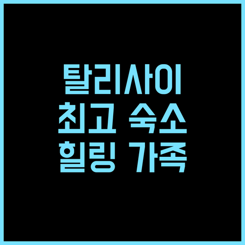 탈리사이 프라이빗 하우스 추천 후기! 네그로스 오시덴탈 최고의 숙소 경험 가족여행 힐링숙소 프라이빗