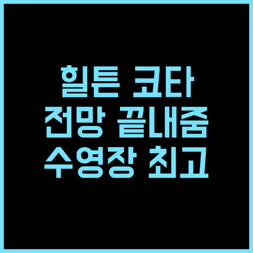힐튼 코타키나발루 추천 후기 럭셔리한 도시 전망과 최상의 서비스 경험 힐튼호텔 코타키나발루여행 수영장