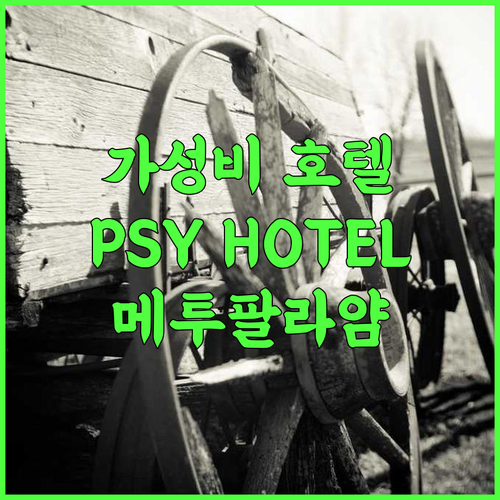 PSY HOTEL 3 STAR 추천 후기 가성비와 편리함을 모두 갖춘 메투팔라얌 호텔 PSYHOTEL 메투팔라얌호텔 가성비숙소
