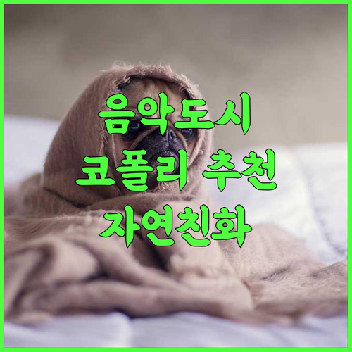 City of Music Khopoli 추천 후기 음악과 자연이 어우러진 와페가르의 특별한 호텔 와페가르 음악호텔 자연친화적