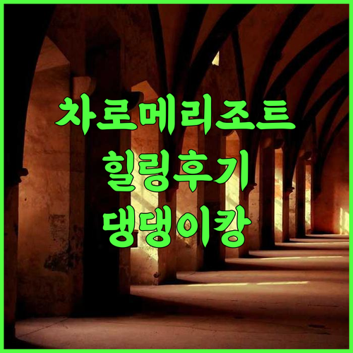 차로메 리조트, 힐링 후기! 나만 알고 싶은 곳🐶 반려견동반 가족여행 뜨랏호텔