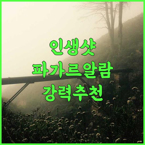 Aldeoz Villa Pagar Alam 숙박 후기 인생샷 보장! 파가르 알람 최고의 선택 인생샷 파가르알람호텔 여행추천