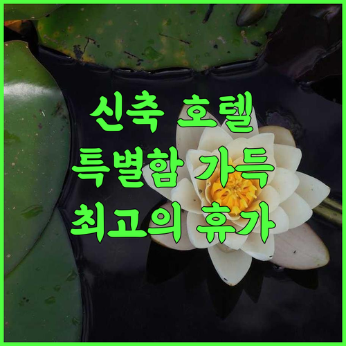 WHITE WATER RESORTS 추천 후기 2023년 신축 호텔의 특별함! 놓치지 마세요 코힐란구지란 신축호텔 최고의휴가