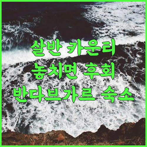 The Roaring Salvan County 놓치면 후회할 Bandhavgarh 숙소 추천 자연 힐링 인도숙소