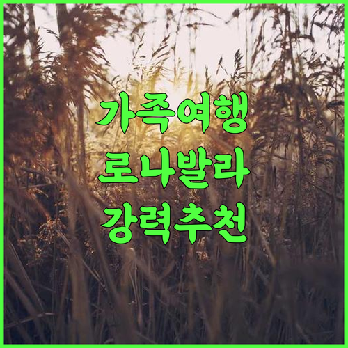 Mastiff Grand La Villae 추천 후기 가족 여행객에게 최고의 선택 로나발라여행 가족여행 인도여행