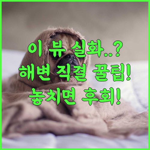 Logis Hotel Sea View 환상적인 오션 뷰와 해변 직결 편의를 갖춘 완벽 후기