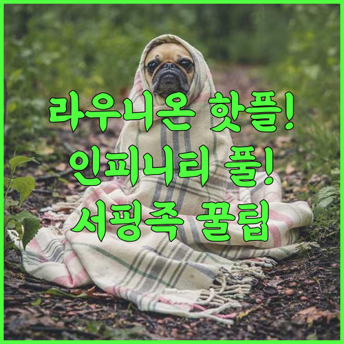 어썸 호텔 라우니온 서핑족의 낭만 인피니티 풀 완벽 추천