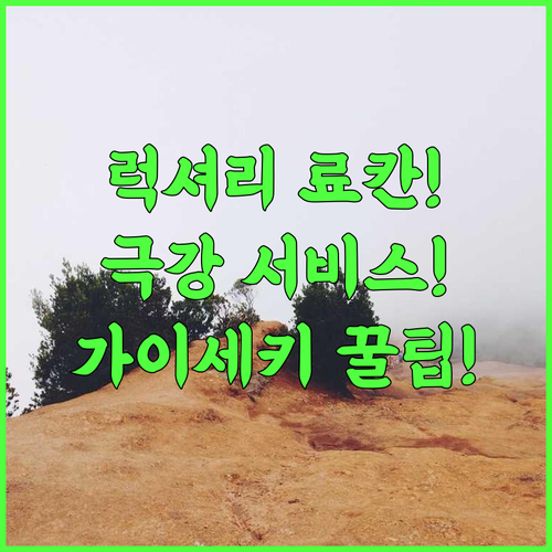쿠사추 온센 카네미도리 극진한 서비스와 정갈한 가이세키를 즐기는 럭셔리 료칸 추천 후기