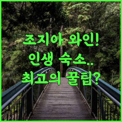 Aragvispiri wine cellar 조지아 문화 체험 최고의 와인 숙소 추천