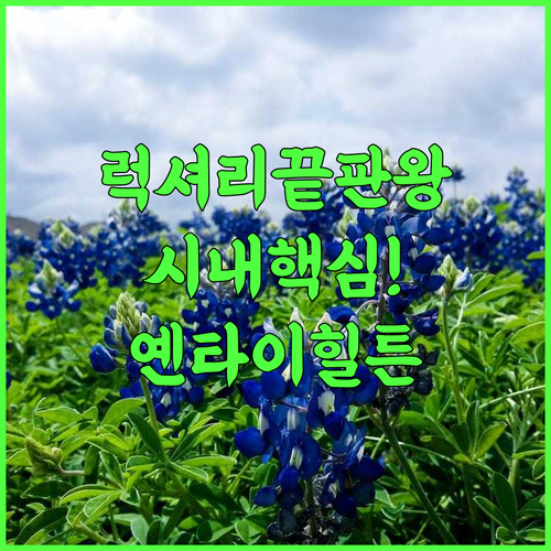 힐튼 옌타이 최고의 시내 위치 5성급 럭셔리 호텔 추천