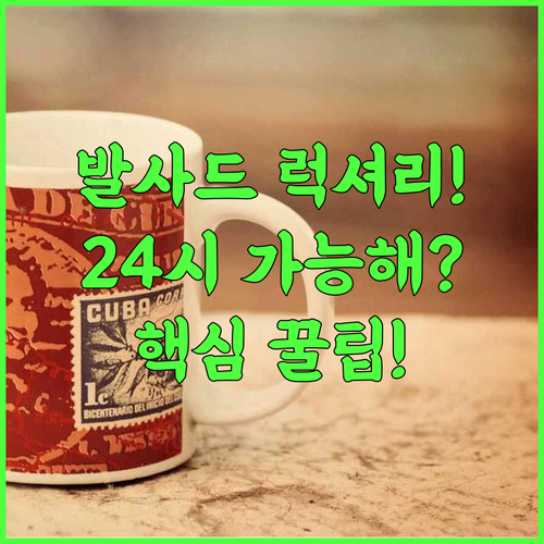 리젠타 센트럴 하르샤 바피 24시간 체크인 가능한 발사드 럭셔리 호텔 추천