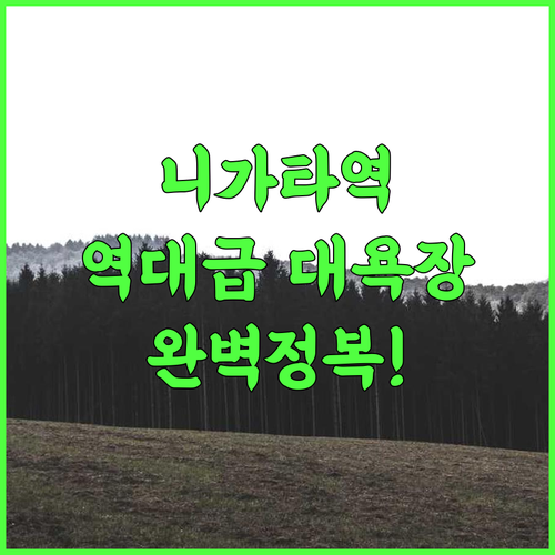 APA 호텔 앤 리조트 니가타 에키마에 오도리 니가타 역세권 대욕장 숙소 완벽 후기