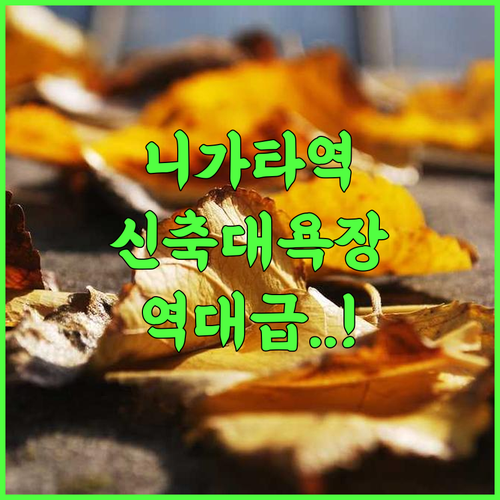 APA 호텔 앤 리조트 니가타 에키마에 오도리 후기 신축 대욕장 시설을 갖춘 니가타 역 최고의 숙소 추천