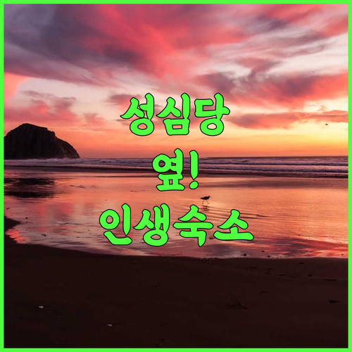 롯데시티호텔 대전 후기 성심당 투어와 엑스포 과학공원 산책이 편리한 가족 숙소 추천