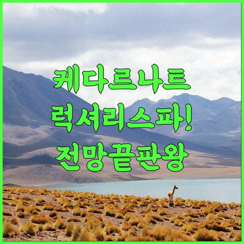 shiva camps site kedarnath 추천 후기 럭셔리한 스파와 산 전망을 갖춘 최고의 선택