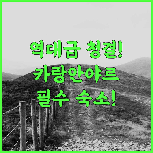 레드도어즈 플러스 샤리아 앳 호텔 인도네시아 카젠 후기 청결함이 돋보이는 카랑안야르 최고의 숙소 추천