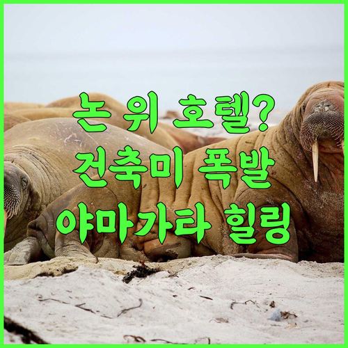 쇼나이 호텔 스이덴 테라스 추천 논 위의 독특한 건축미를 즐기는 야마가타 힐링 숙소 후기