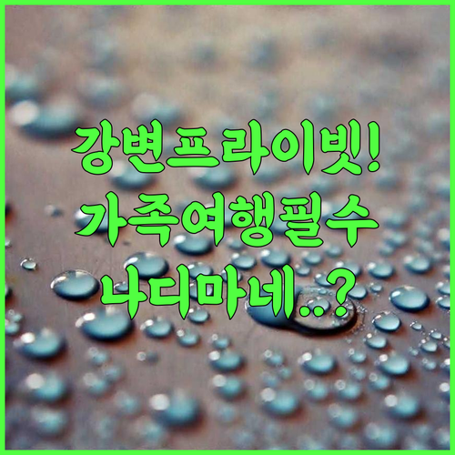 Nadhi Mane River front Beach Stay 추천 가족 여행객을 위한 쿰타 강변 프라이빗 숙소 후기