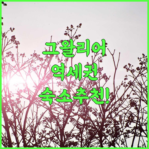 파크 인 바이 래디슨 괄리오르 후기 쇼핑몰과 기차역이 가까운 그왈리어 숙소 추천