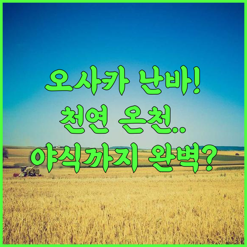 도미 인 프리미엄 난바 내추럴 핫 스프링 추천 후기! 천연 온천과 야식 서비스가 완벽한 오사카 숙소