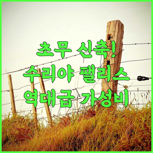 호텔 수리야 팰리스 가성비 좋은 초무 신축 숙소 추천 후기