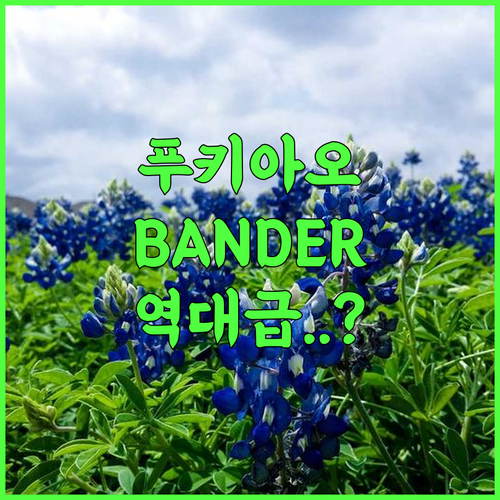 BANDER HOTEL 후기 도심 접근성이 뛰어난 차이야품 푸 키아오 숙소 추천
