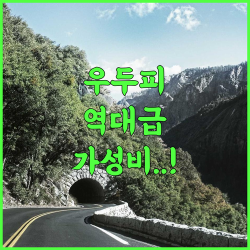 Tropical bay by Malpe 반려동물 동반 가능한 우두피 가성비 호텔 추천 후기