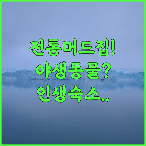 Magizh Kudil The Mud House 전통 머드 하우스 체험과 야생동물 보호구역 인접 숙소 후기