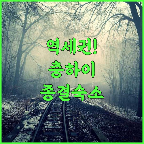 라벤더 호텔 충하이 후기 기차역 접근성이 뛰어난 비즈니스 여행객 추천 숙소