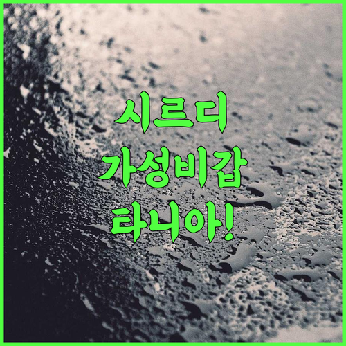 타니아 프레지던트 인 후기 가족 여행객을 위한 시르디 최고의 가성비 호텔 추천