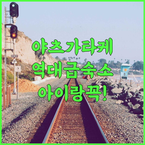 야츠가타케 호텔 후우카 후기 아이와 함께 즐기는 다양한 액티비티 시설과 온수 욕조가 완벽한 숙소 추천