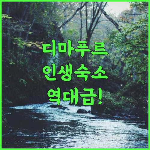 Zone Niathu Dimapur by The Park 후기 자연 속에서 즐기는 완벽한 디마푸르 숙소 추천