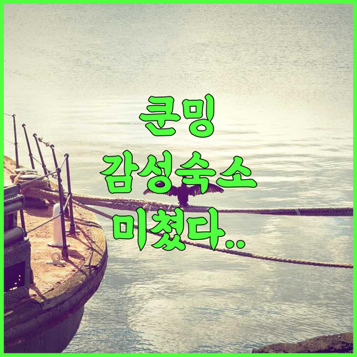 카세 부티크 쿤밍 알타임 추천 난핑 보행 거리와 인접한 세련된 감성 숙소 완벽 후기