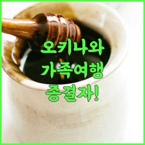 리잔 씨파크 호텔 탄차 베이 후기 천연 해변과 연결된 오키나와 가족 여행 최고의 선택 추천