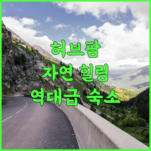 The Herb Farm Managed by The Grand Ashoka 자연 속 힐링을 선사하는 이색 숙소 방문 후기