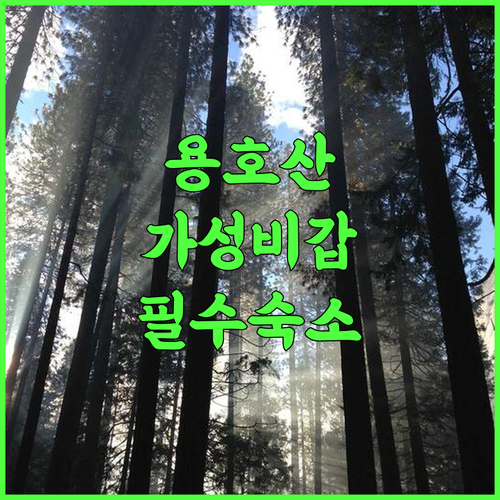 Longhushan Laiping Hostel 후기 용호산 매표소 인근 최고의 가성비 숙소 추천