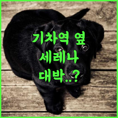 Гостиница Селена 기차역 접근성이 뛰어난 키지로르다 여행 숙소 완벽 후기