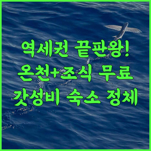 호텔 루트 인 코트 아수미노 토요시나 에키미나미 후기 역세권 온천과 조식이 완벽한 가성비 숙소 추천