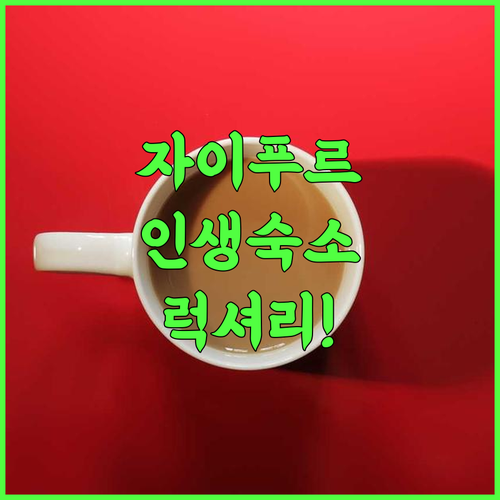 샤푸라 하벨리 후기 인도 자이푸르 럭셔리 전통 숙소 추천