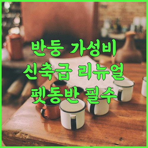 파리찻 반둥 호텔 추천 2024년 리노베이션으로 쾌적해진 반려동물 동반 가성비 숙소 후기