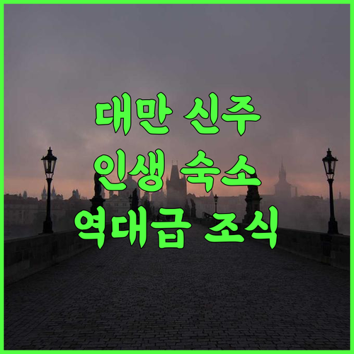 Tuscany Garden B&B 후기 대만 신주 자연 속에서 즐기는 평화로운 전원 생활과 조식 추천