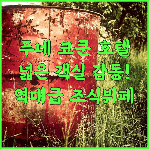 코쿤 호텔 푸네 마가르파타 시티에서 즐기는 넓은 객실과 조식 뷔페 추천