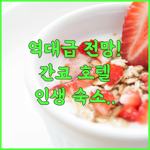 도우노미네 간코 호텔 후기 단산신사 전망이 아름다운 일본 전통 숙소 추천