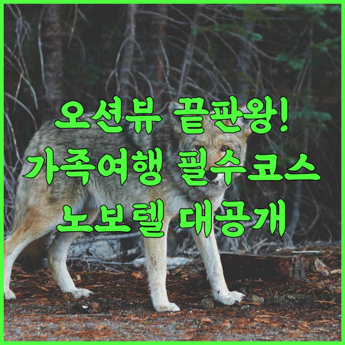 Novotel Sihanoukville Holiday Resort 후기 가족 여행객을 위한 시아누크빌 최고의 럭셔리 오션뷰 호텔 추천